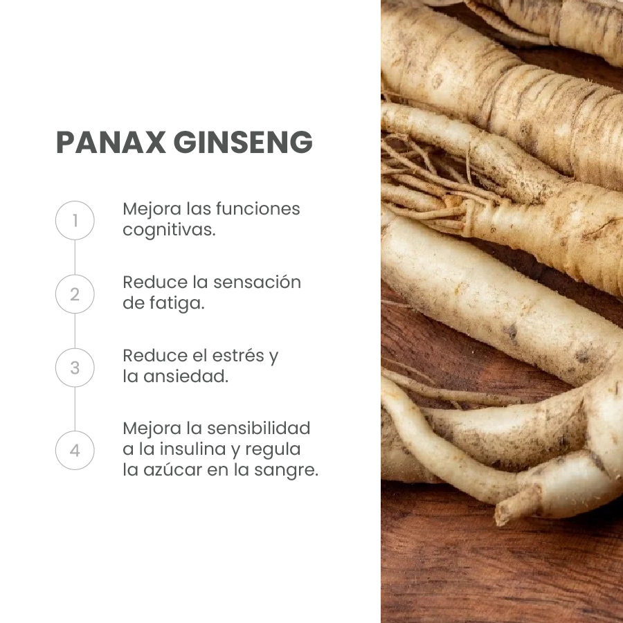 Ingrediente Panax Ginseng